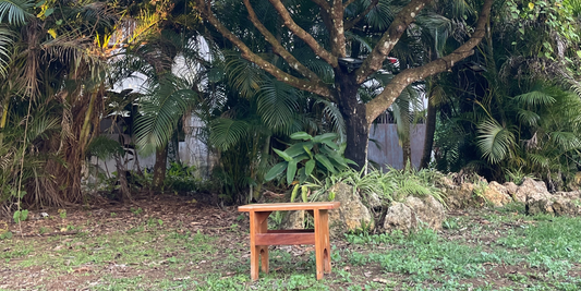 Le ti ban : mémoire vivante des Antilles