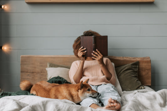 Routine d’automne : 7 idées pour des soirées cocooning